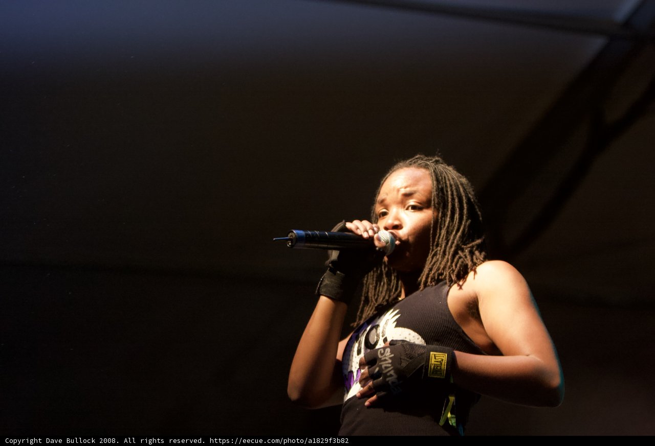 Soulful Performance at Coachella