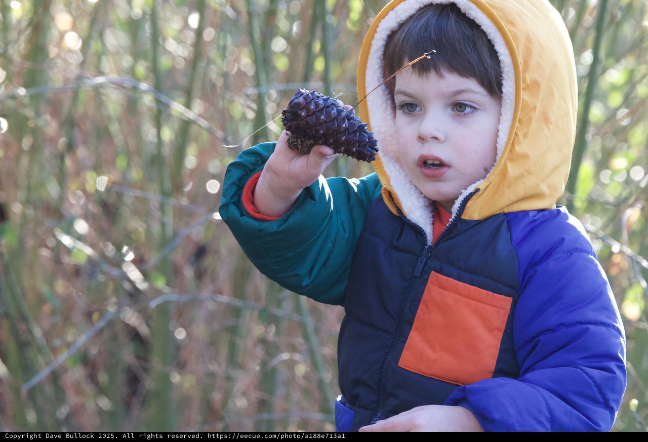 Young Child Discovers Pine Cone in Winter Forest
