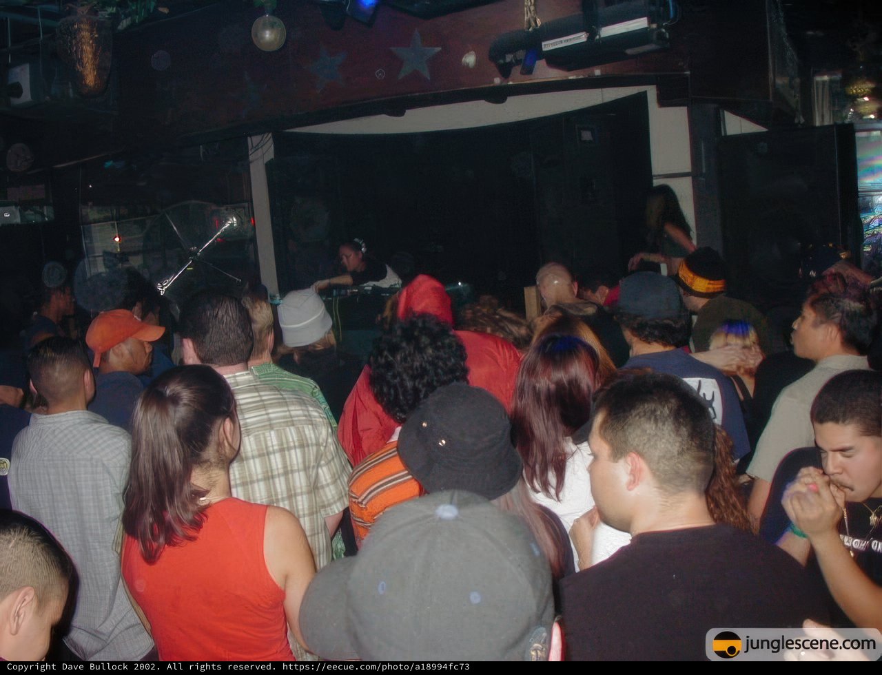Nightclub Performance