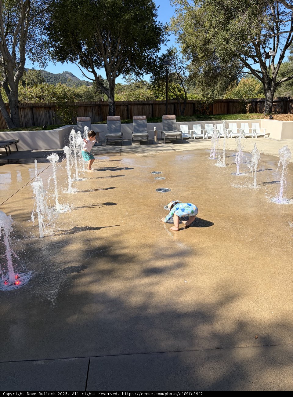 Splashing into Sunshine