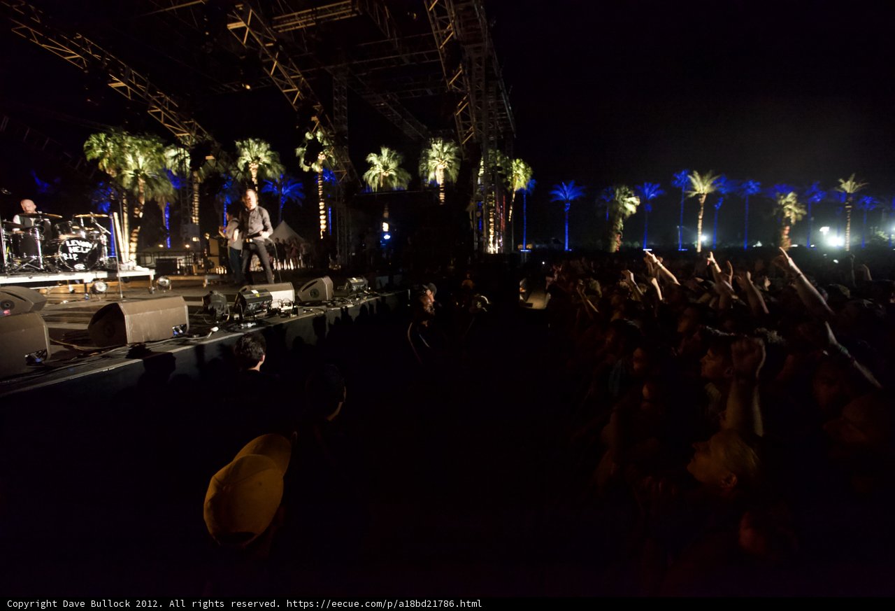 Concert under the Palm Trees
