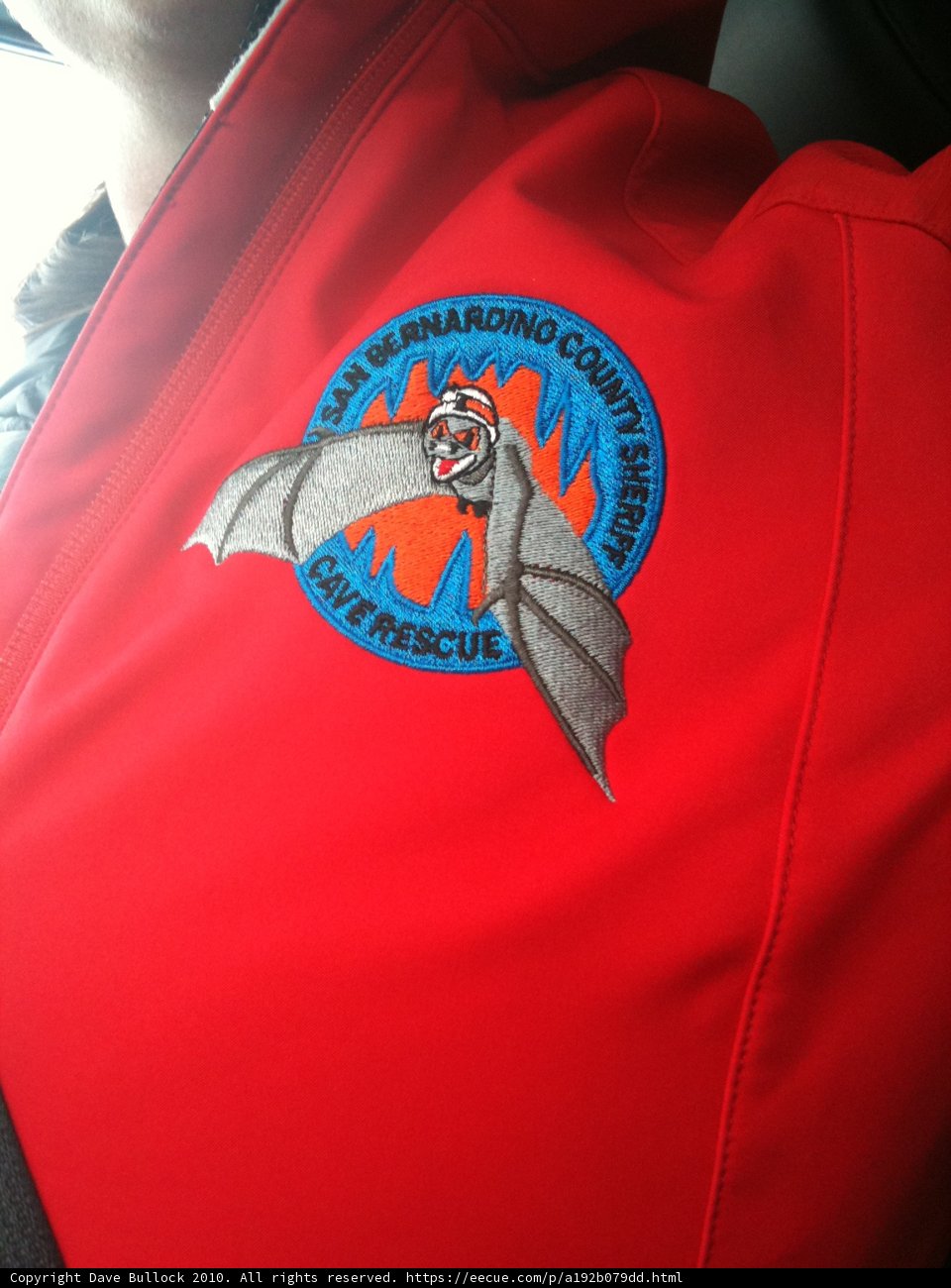 Bold Bat Jacket