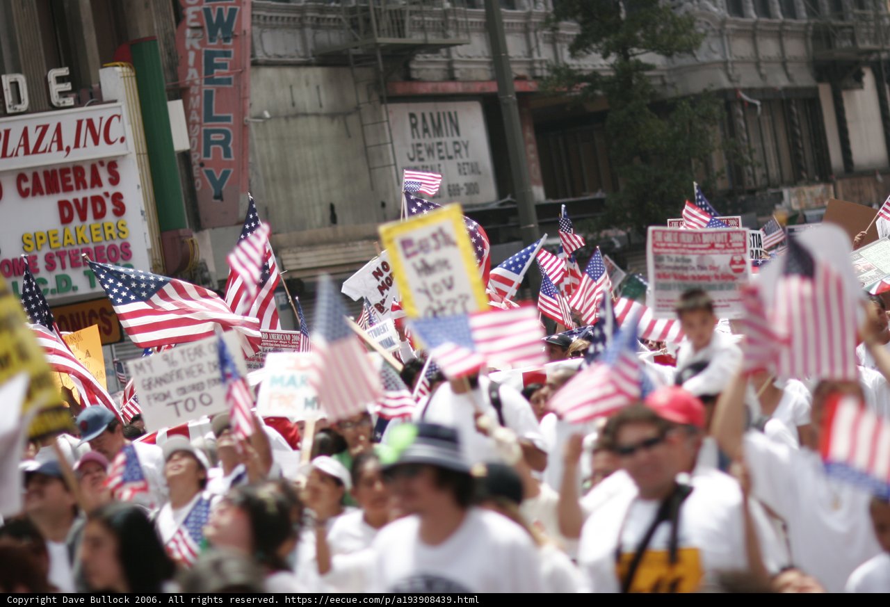 Patriotic Crowd at Annual Parade