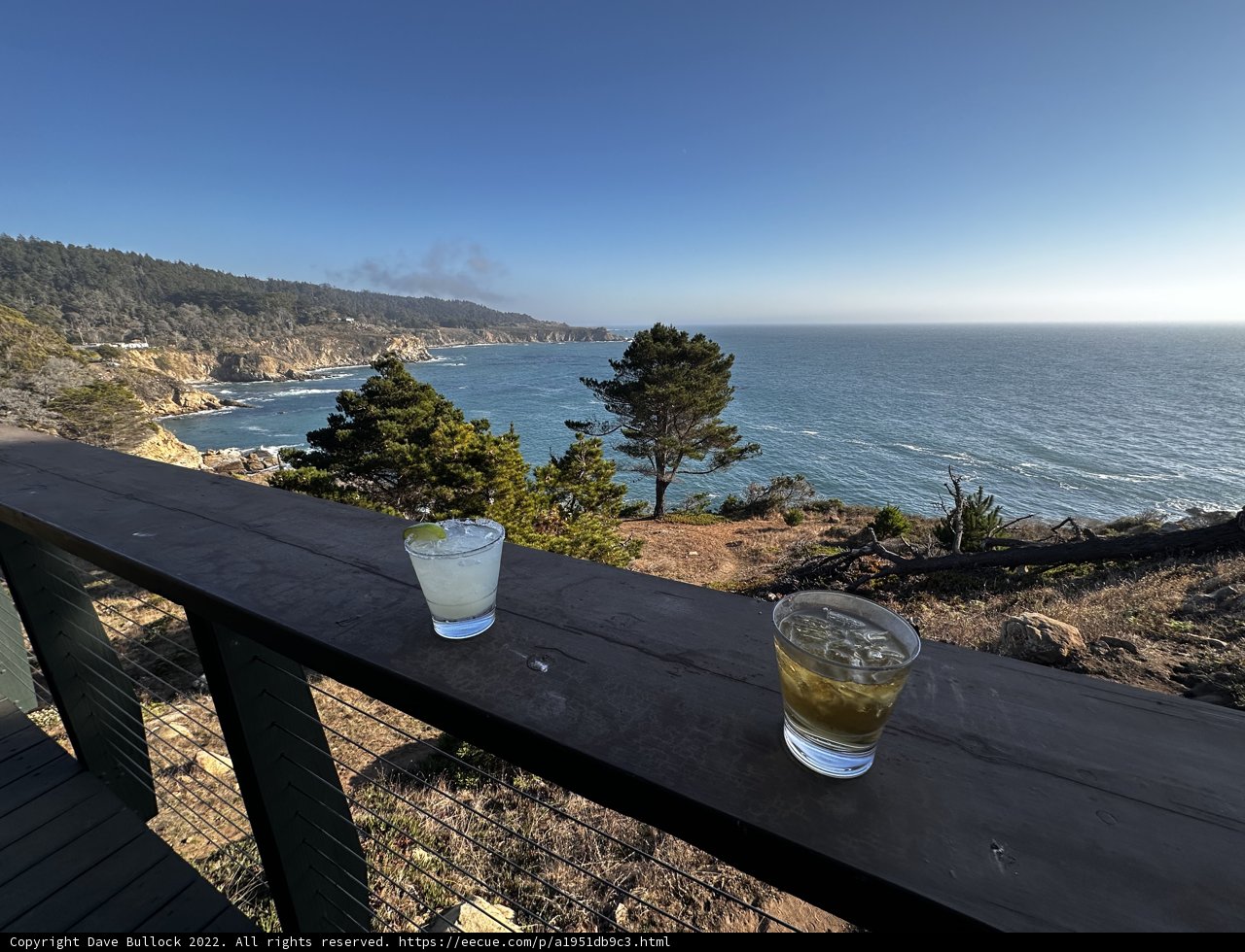 Sipping by the Sea