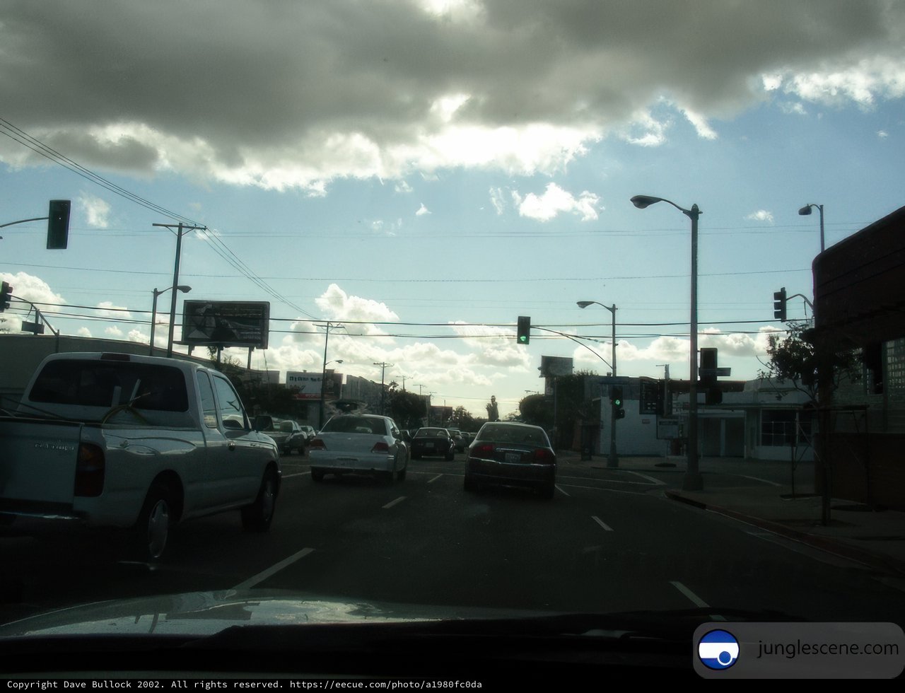 Bustling Traffic in the City