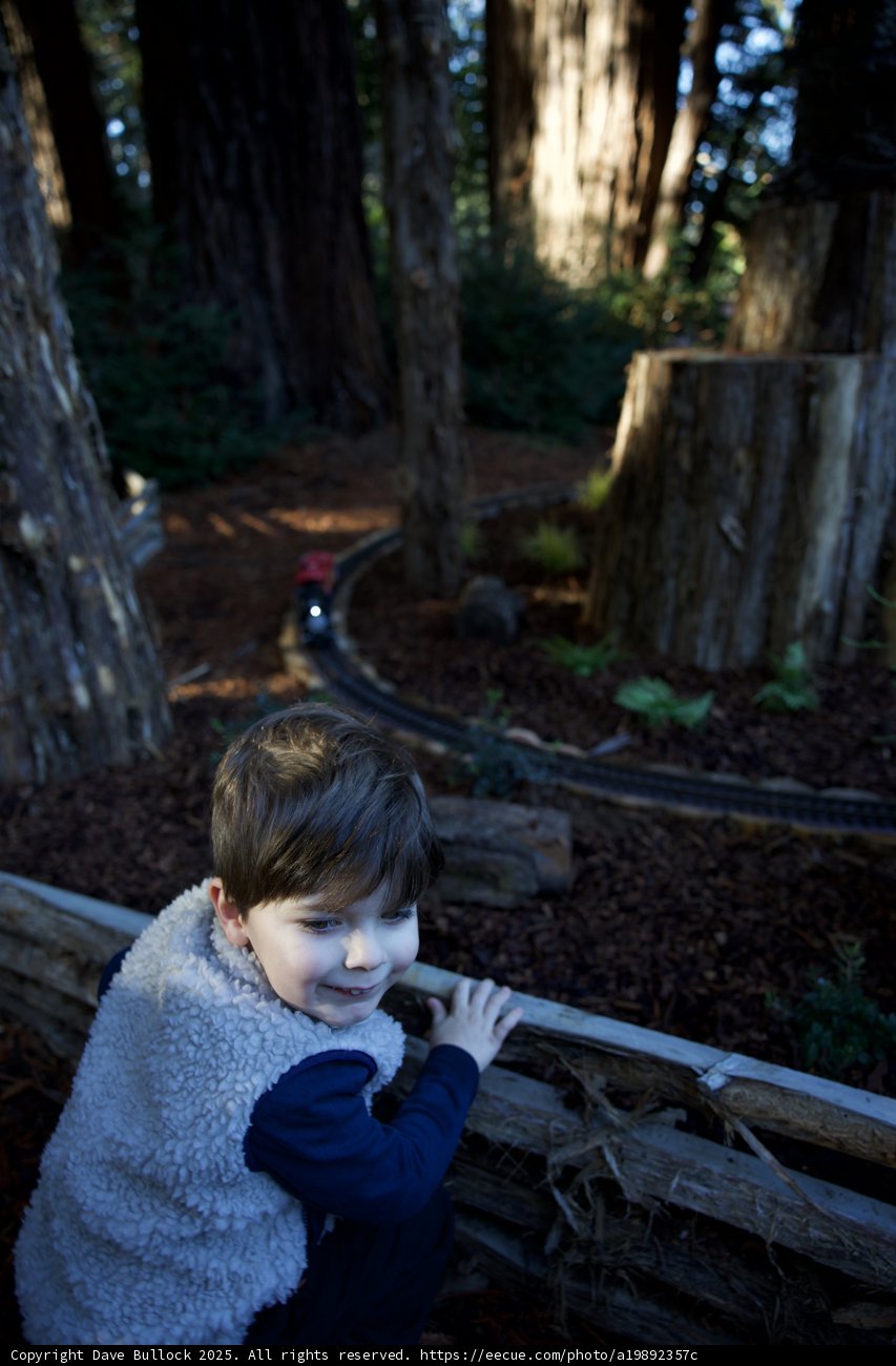 Enchanted Exploration at Thistlewyck