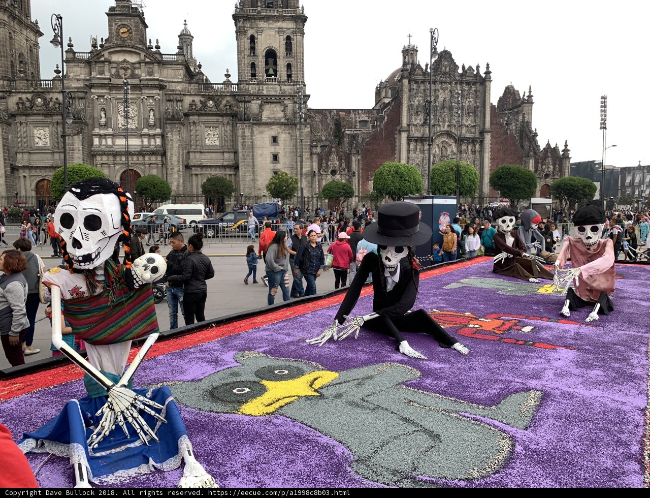 Skeletal Gathering on a Rug