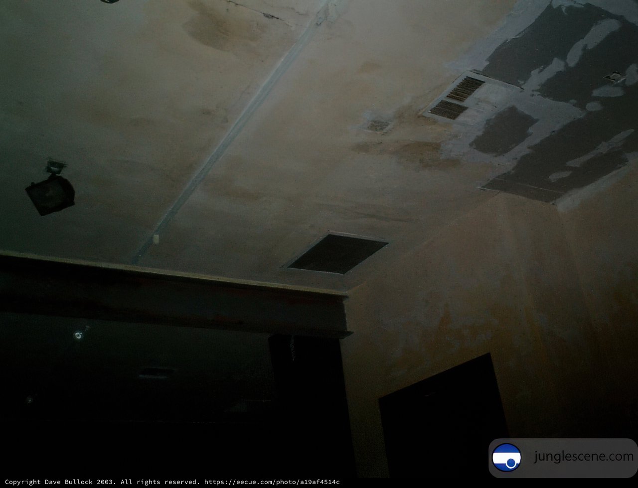 Mold Takes Over Room