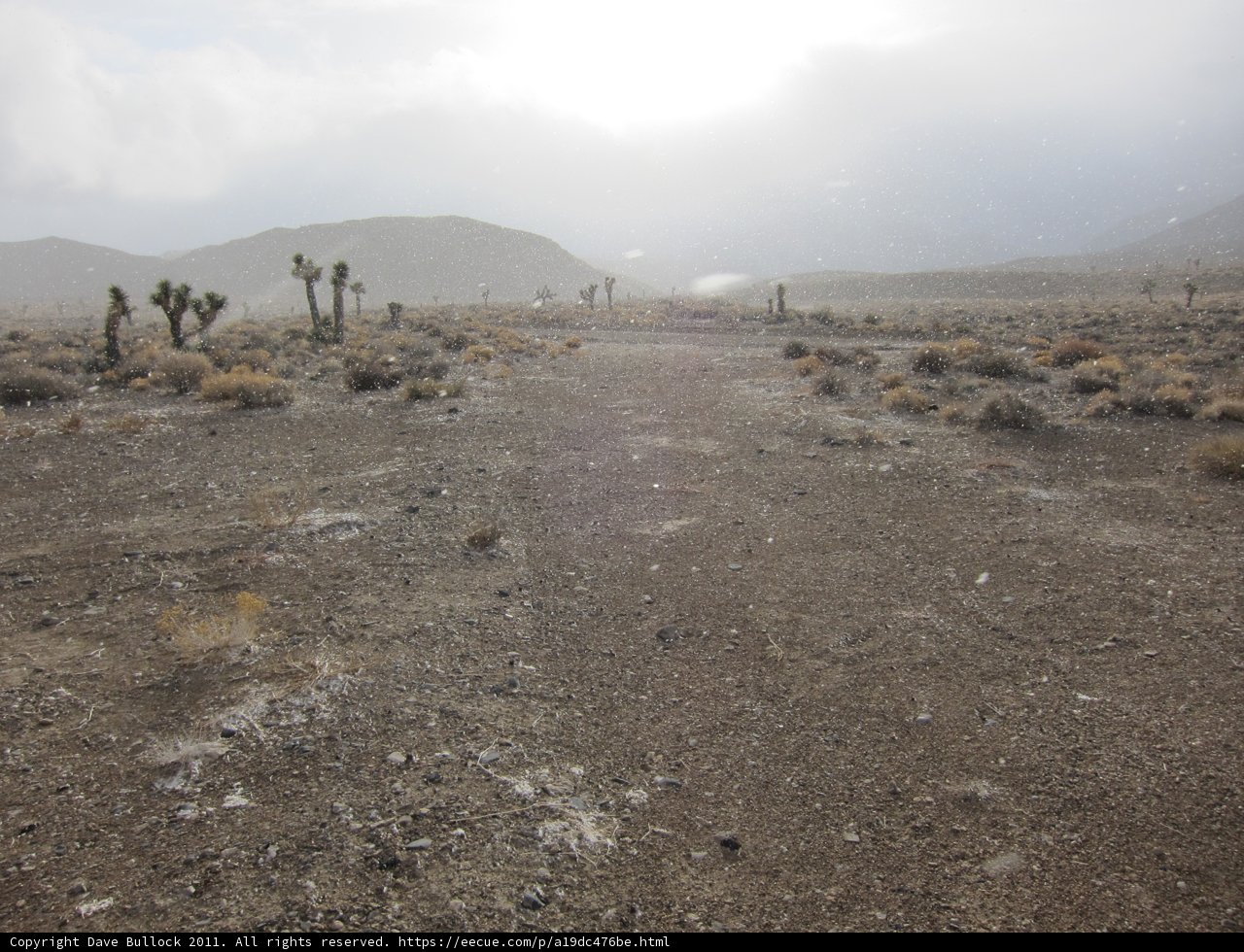 Desert Pathway