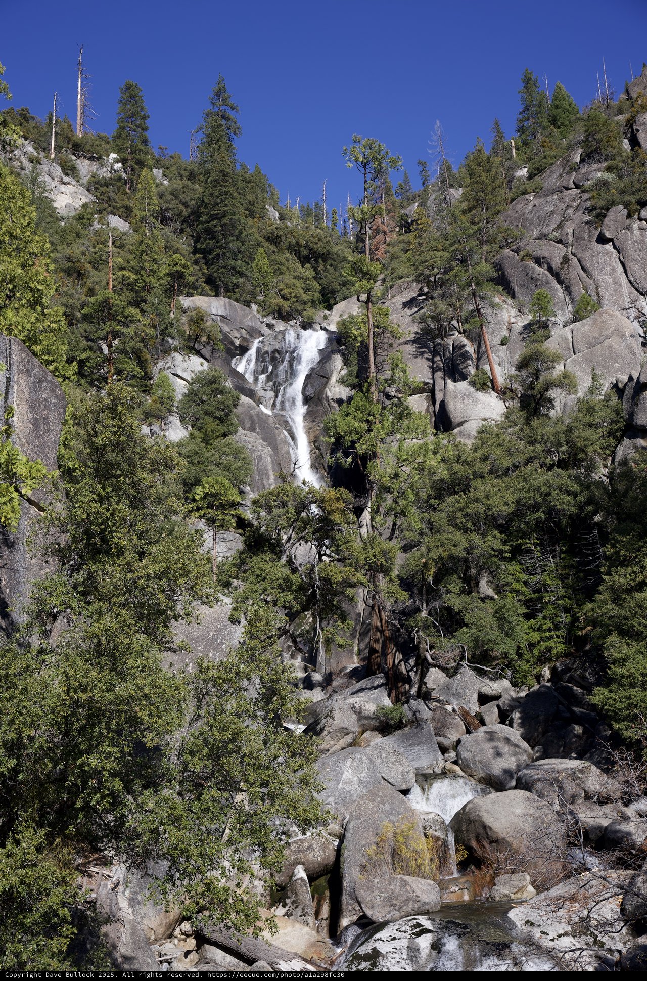 Cascade Falls Through Rocky Mountain Forest