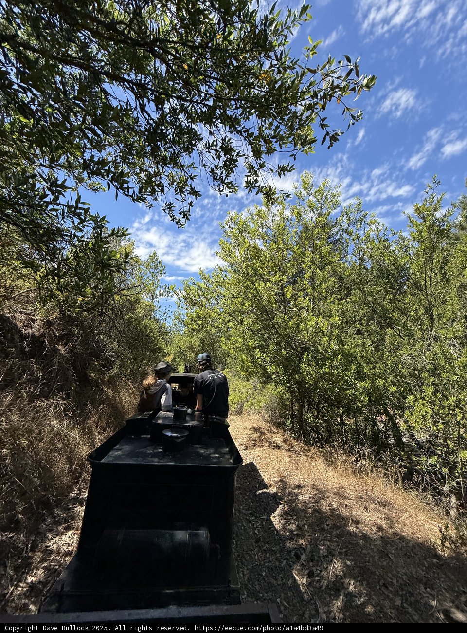 Exploring the Verdant Trails