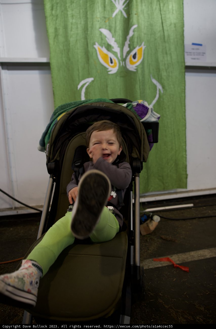 Wesley's Stroll at Fort Mason