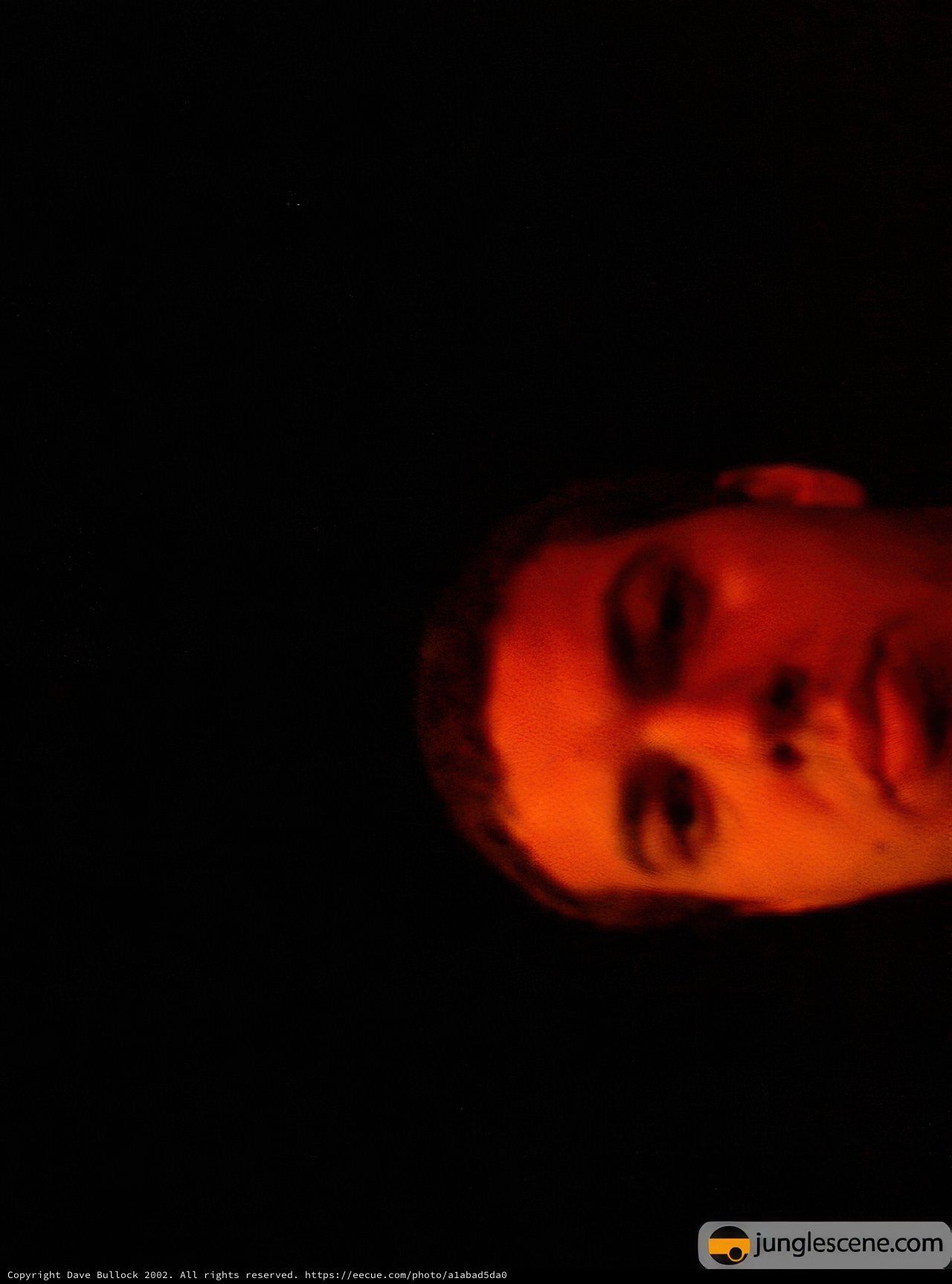 A Portrait of Dave B