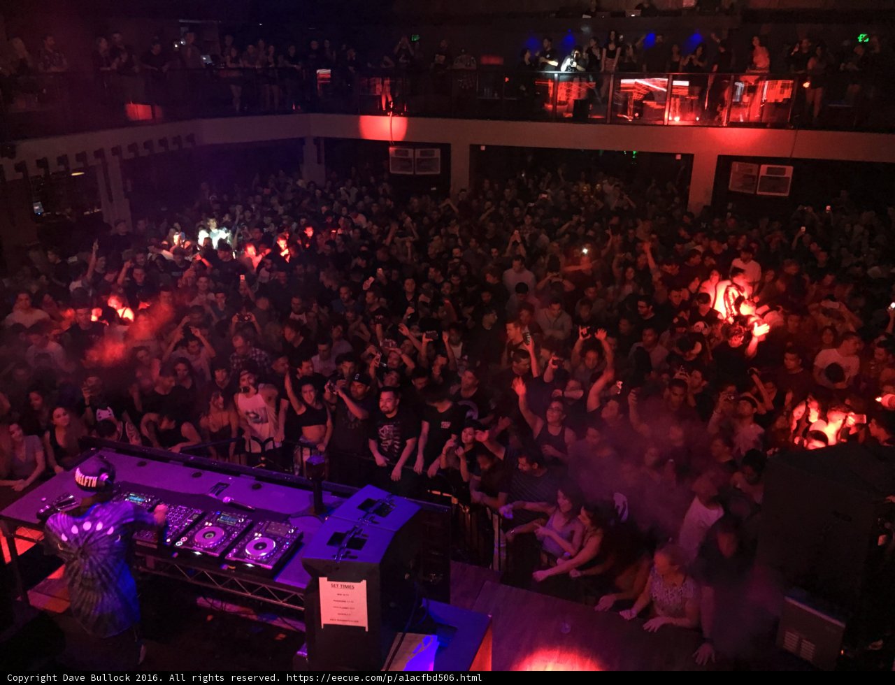Nightclub Bliss