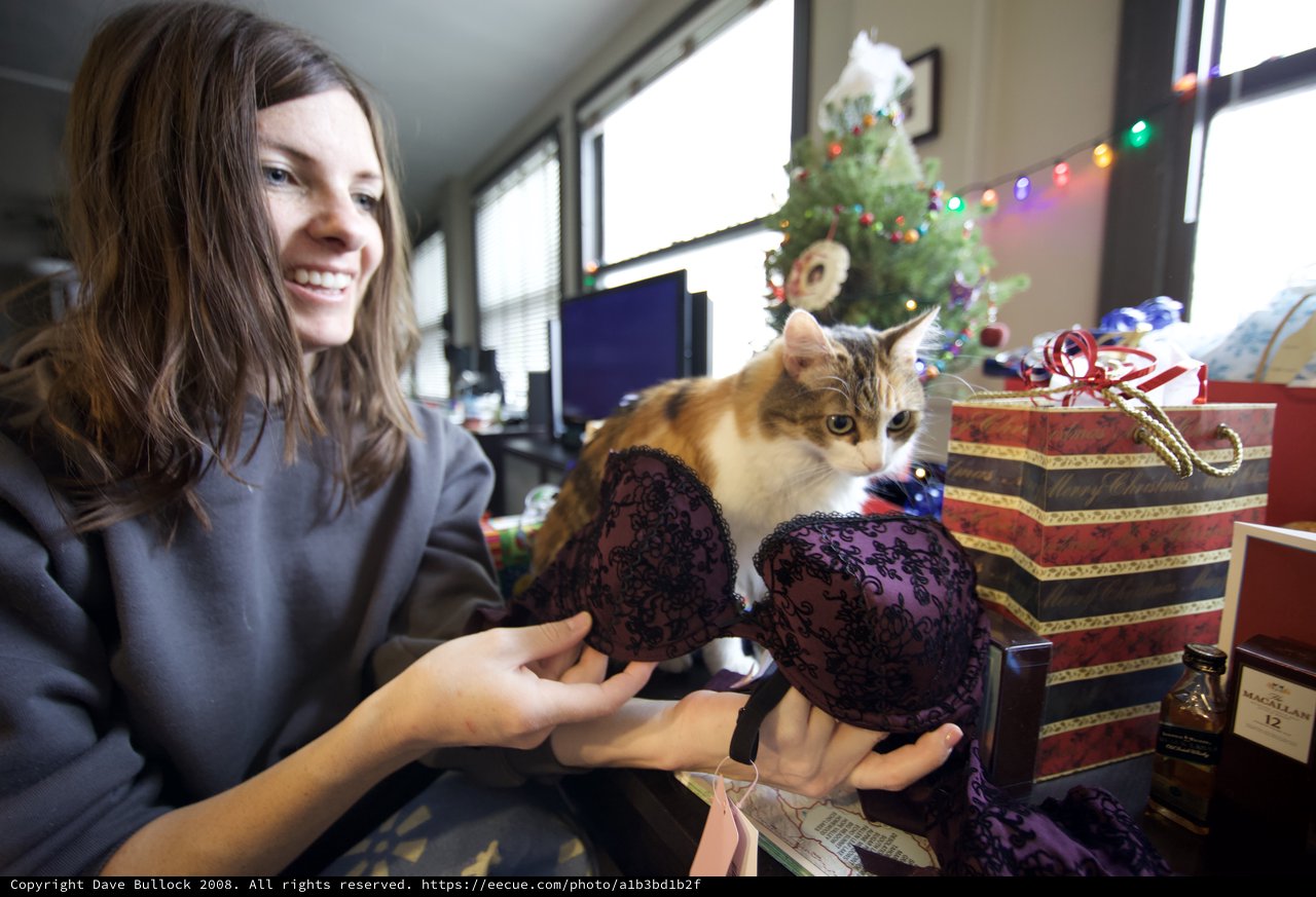 Christmas Morning Lingerie Gift Surprises With Curious Cat