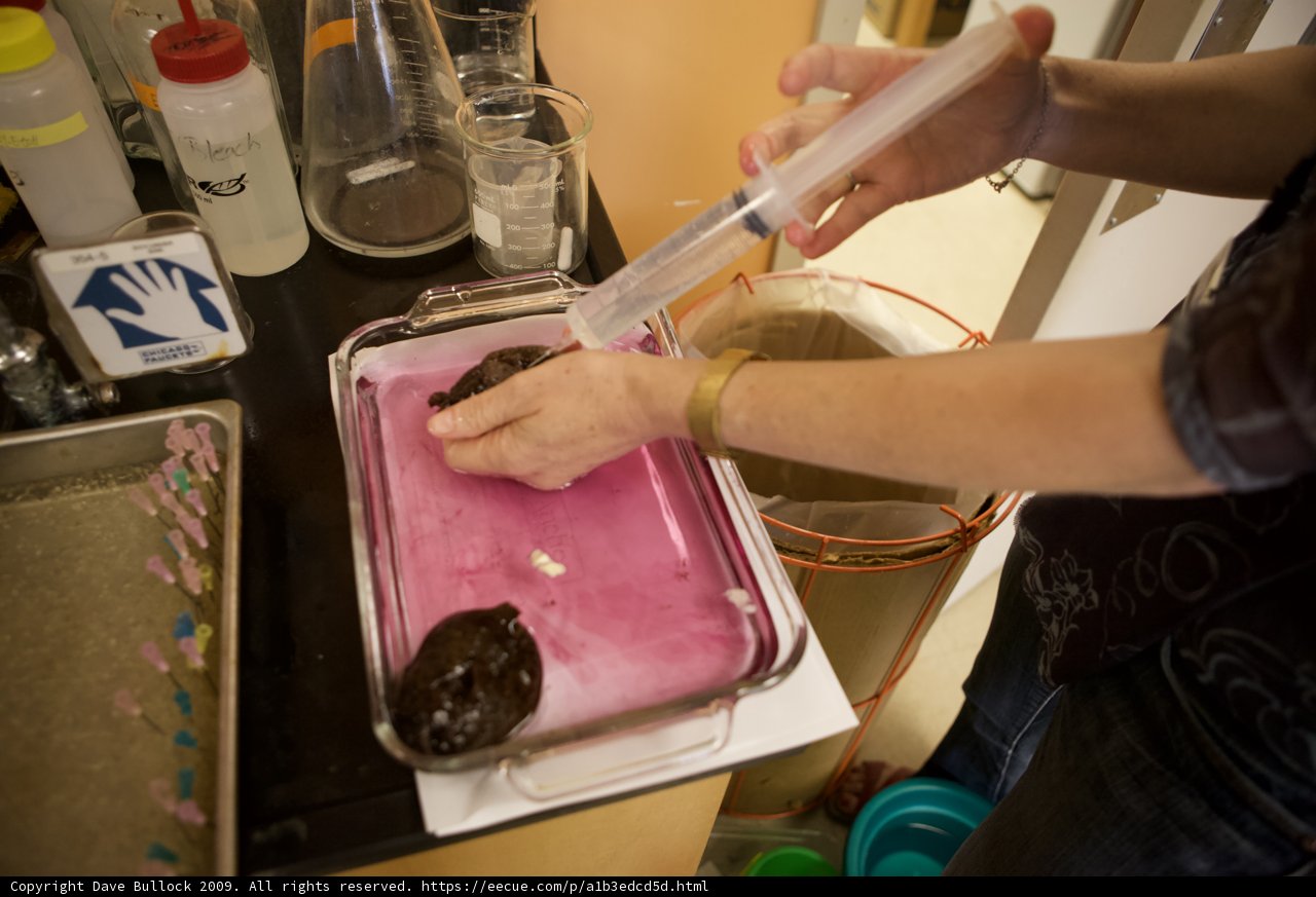 Mixing up a Sweet Treat