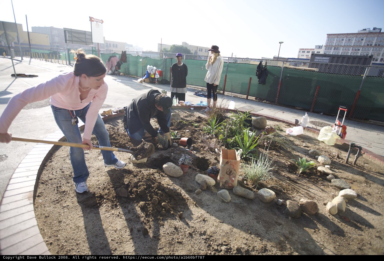 Urban Guerrilla Gardeners Transform City Sidewalk Plot