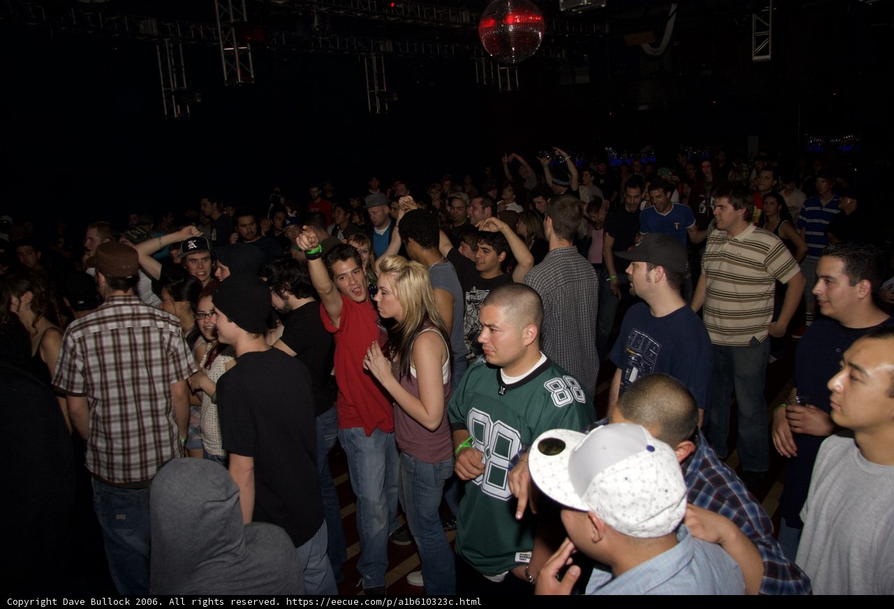 Disco Ball Delight