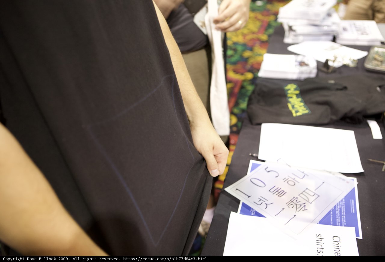 Mysterious Woman at Defcon 17