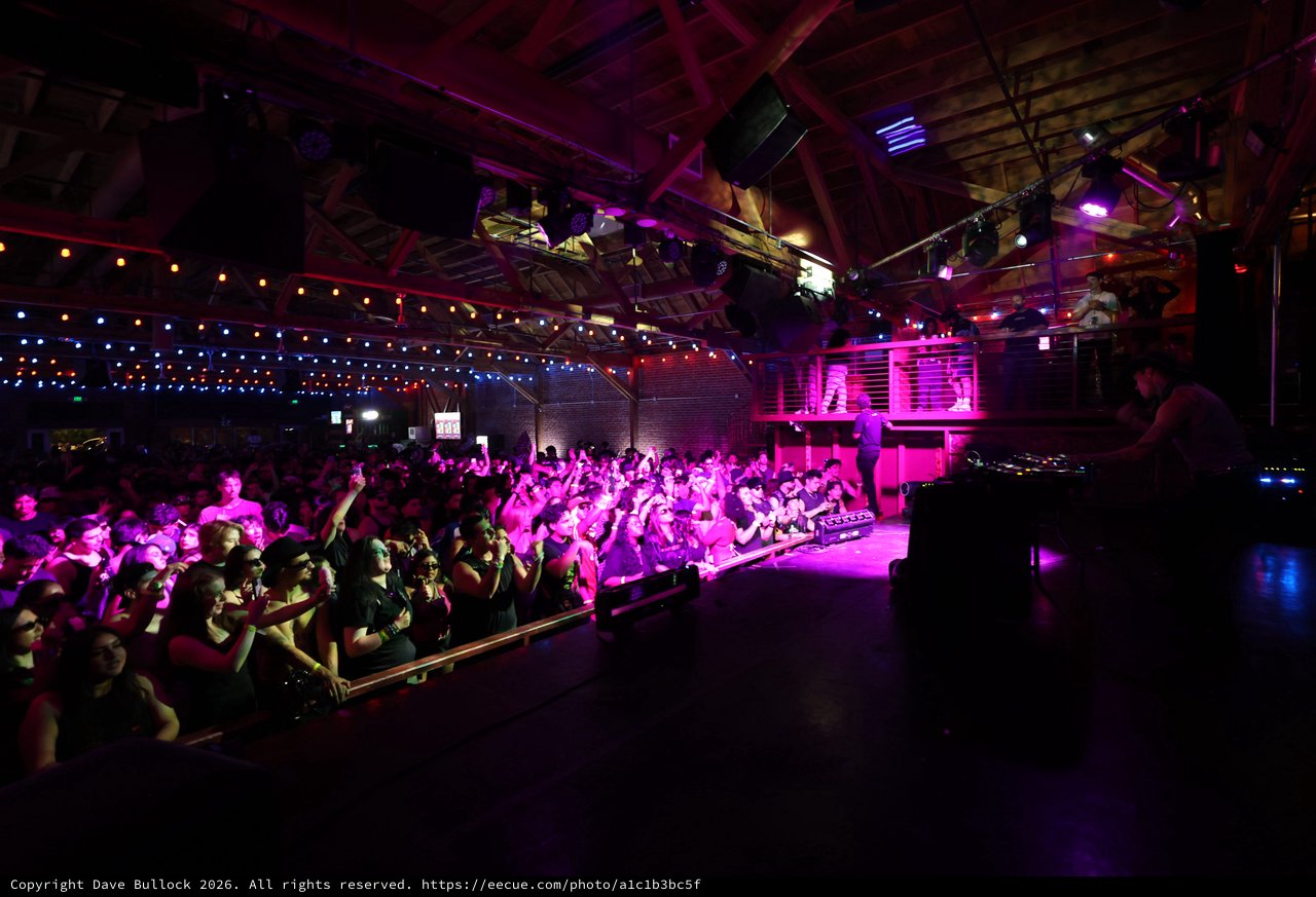 Electric Crowd Pulses Under Magenta Lights at Wobbleland