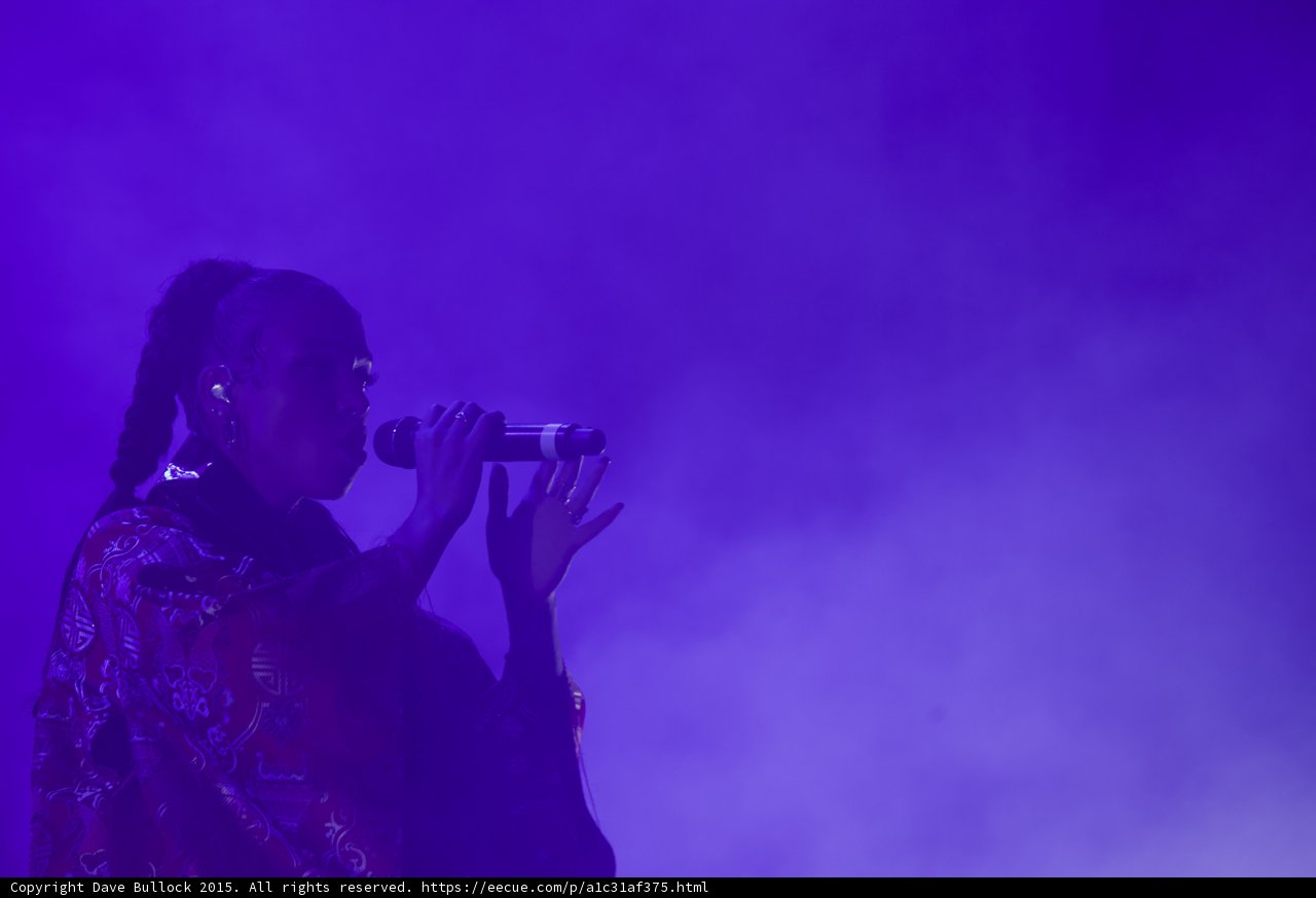 FKA twigs Beautiful Profile Portrait Singing Expressive Hand Braided Ponytails Hoop Earrings Kimono Gold Patterns Purple Atmospheric Haze