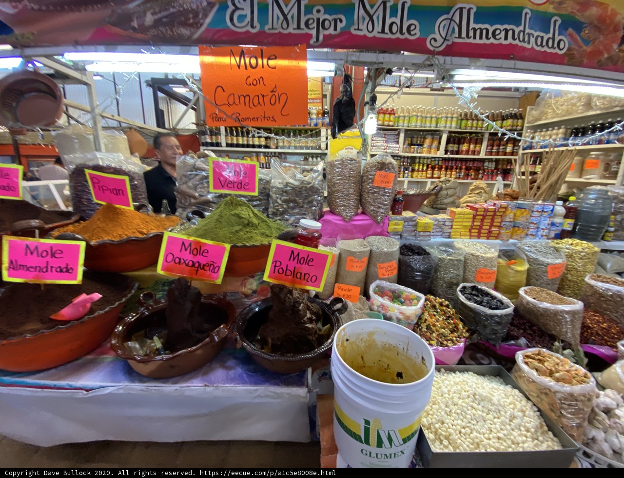 A Colorful Feast at the Mercado de Coyoacan