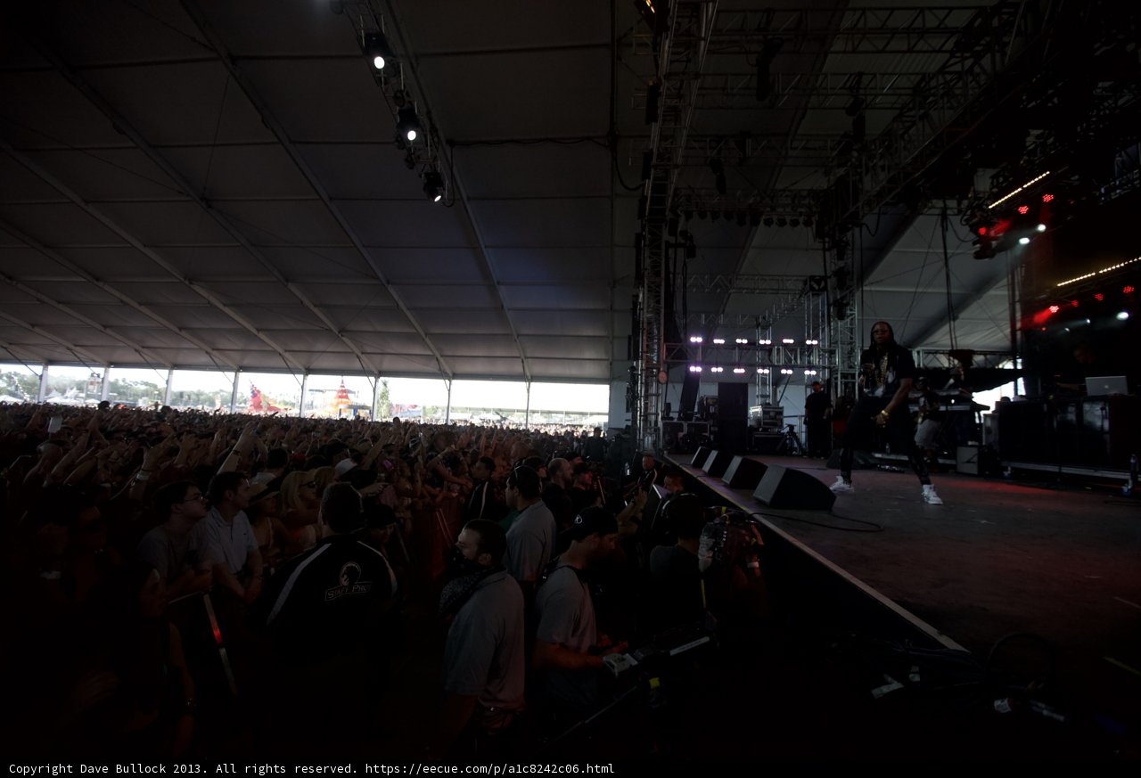 Concert Crowd Excitement
