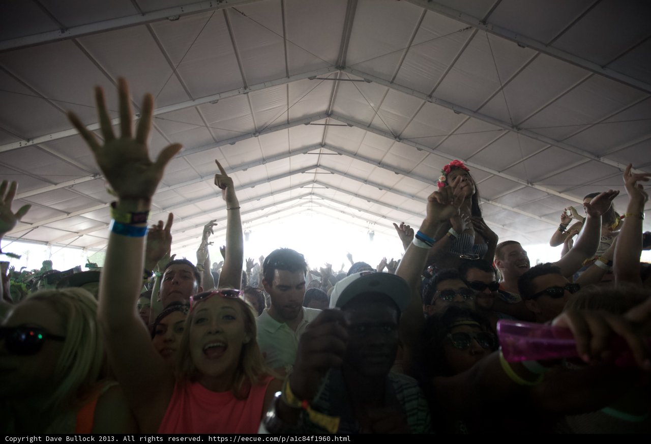 Festivalgoers Raise the Roof
