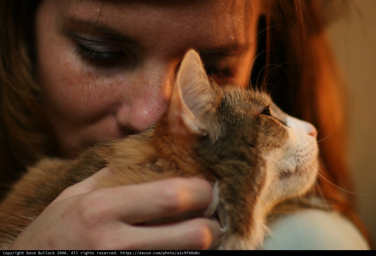 Woman with her Abyssinian Cat