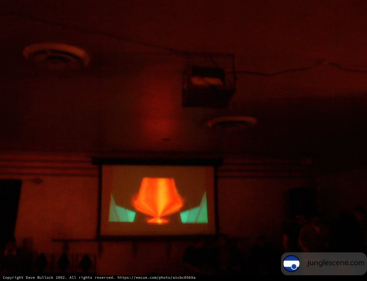 The Cinema Experience