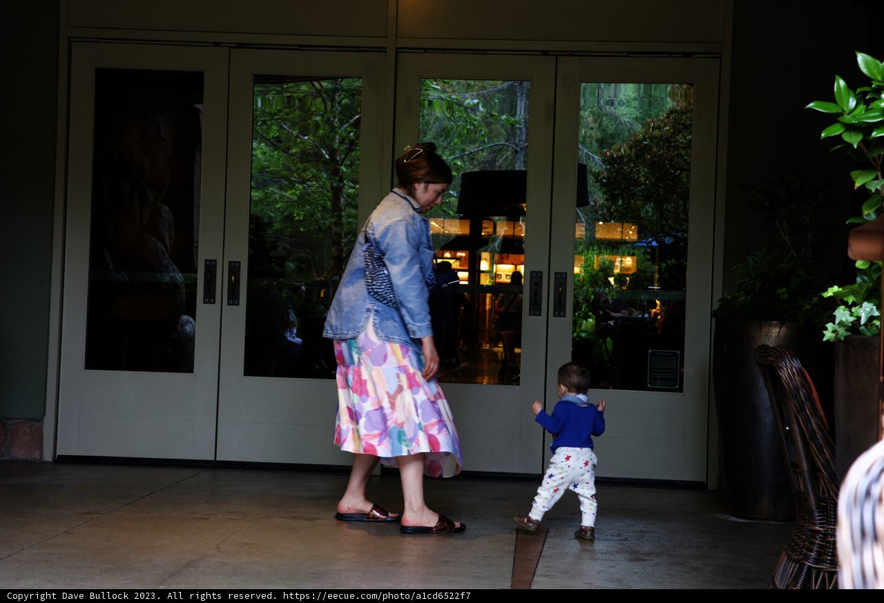 Magical Moments in Disneyland
