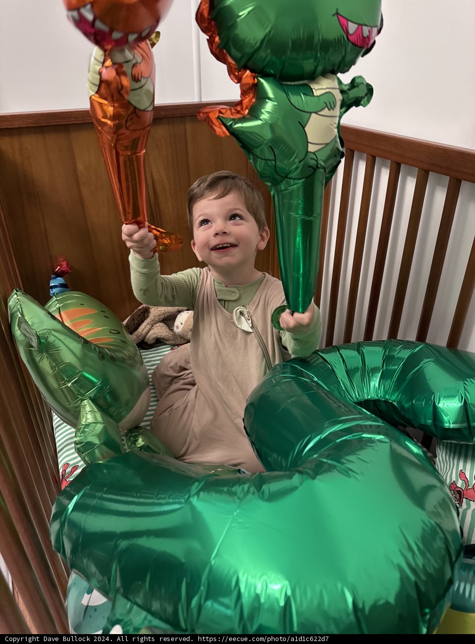 Balloon Adventures in the Crib