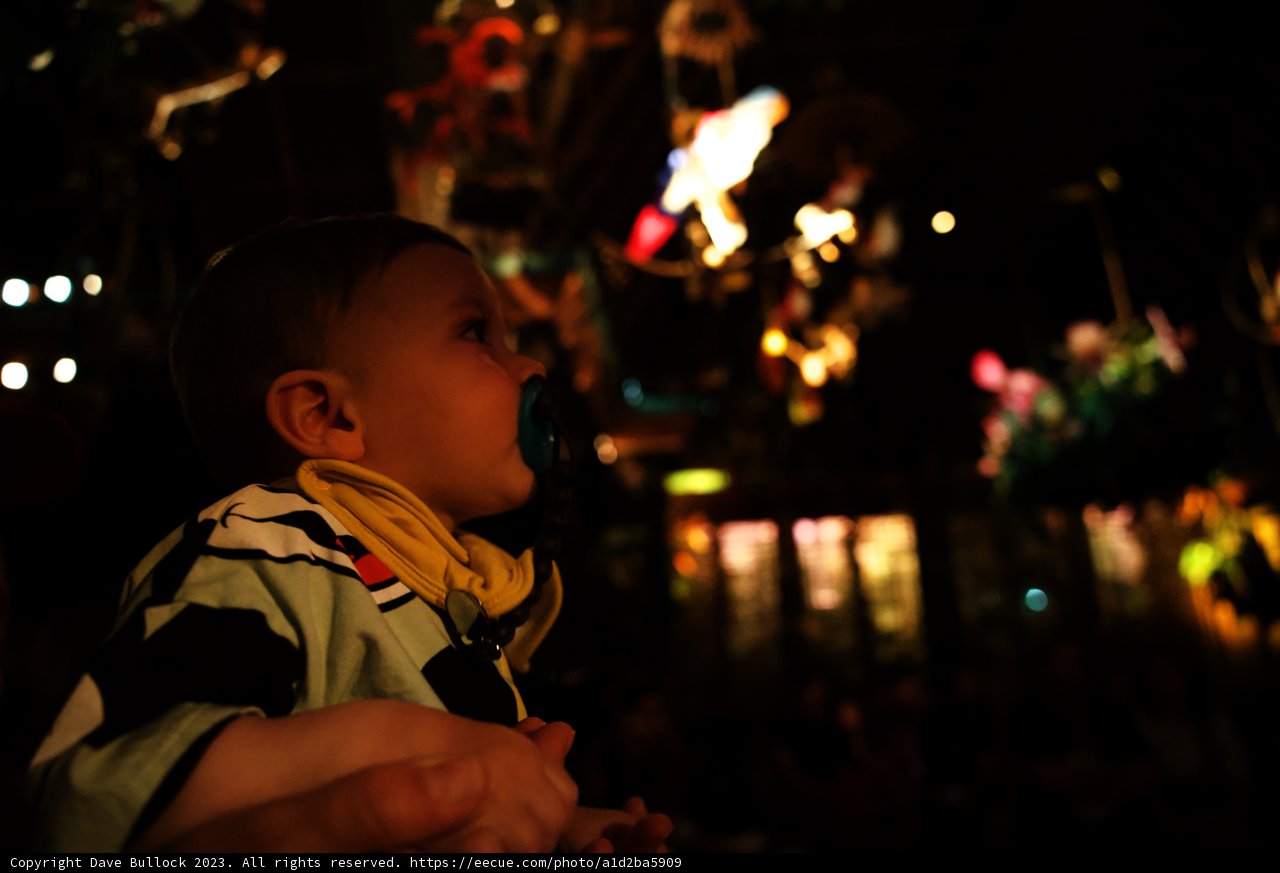 Little Cowboy's Disneyland Adventure