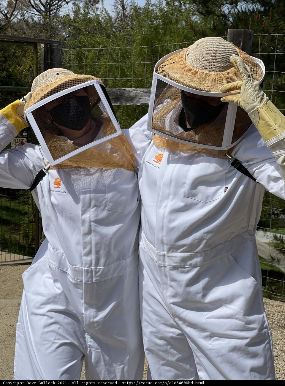 Beekeepers in Carmel