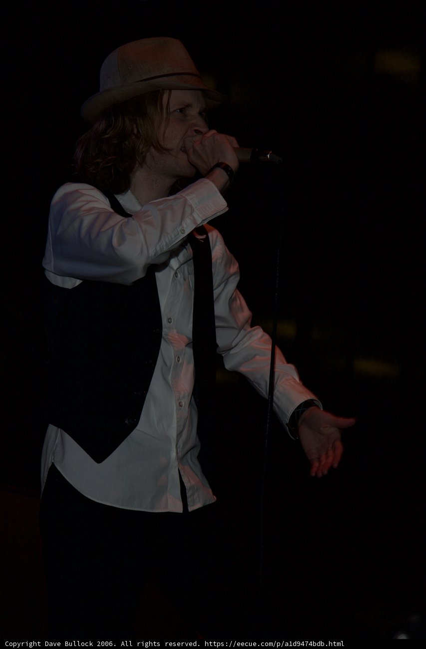 The Crooner's Melody