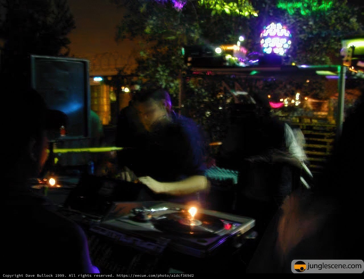 Nightclub Musician