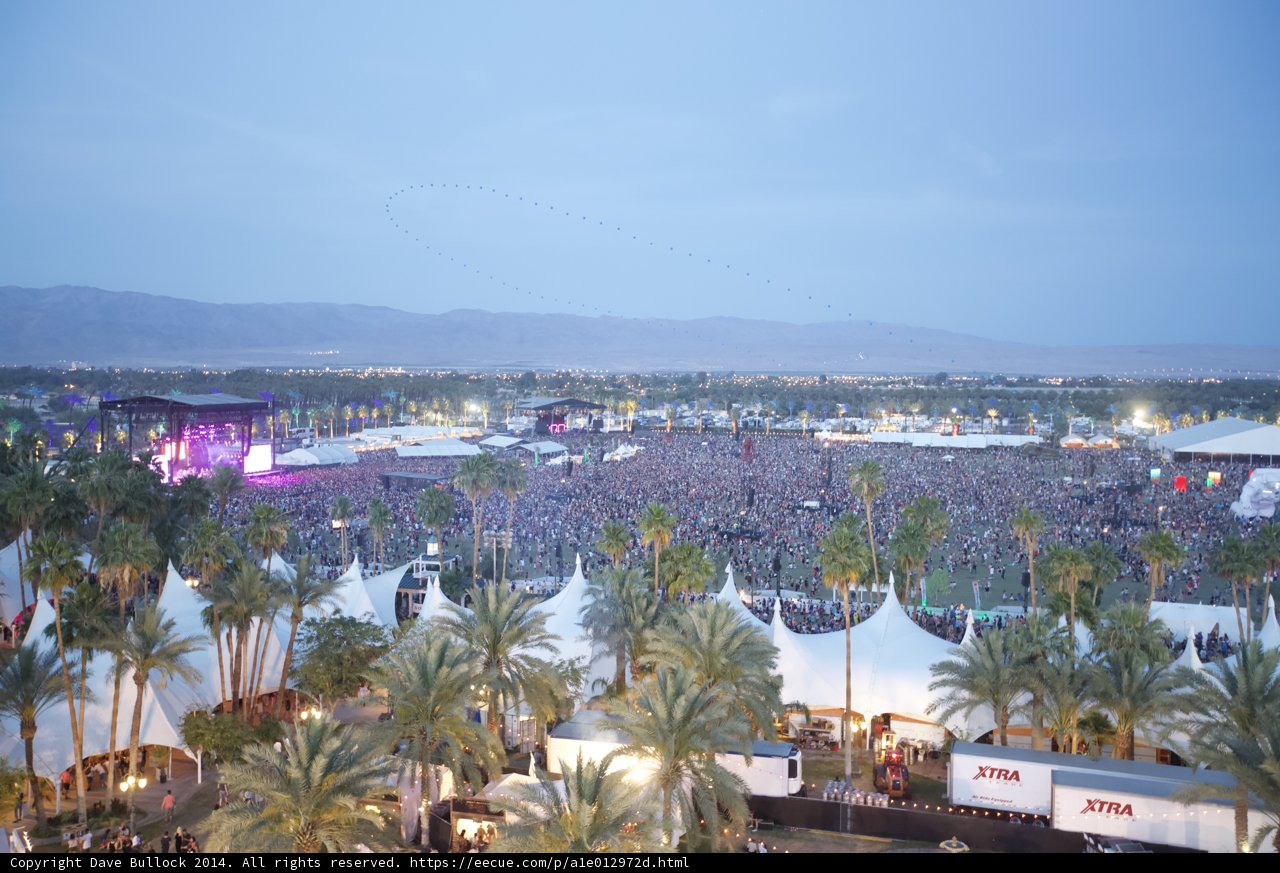 Desert Festival Craze