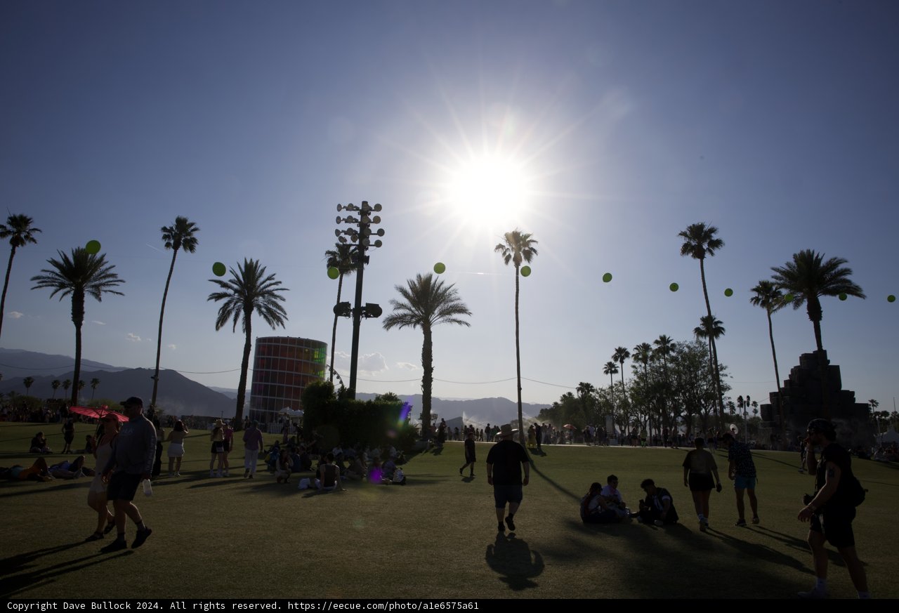 Sunlit Serenity at Coachella 2024