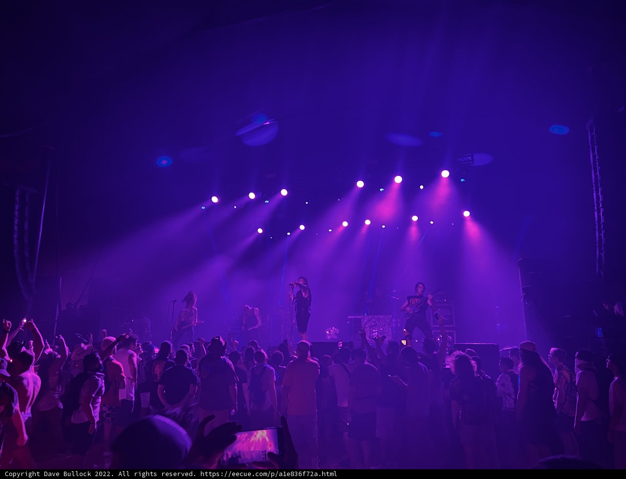 Purple Haze Concert