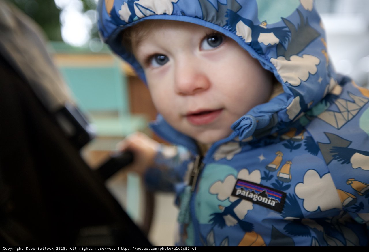 Young Child in Blue Patagonia Winter Jacket