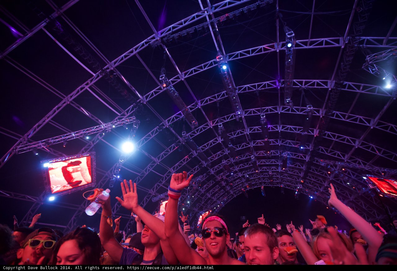 Spotlight on the Crowd