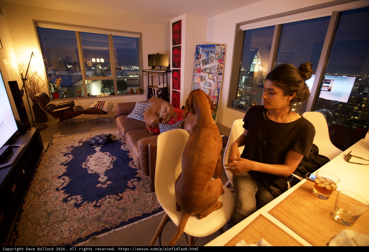Relaxing with Fido in the Living Room