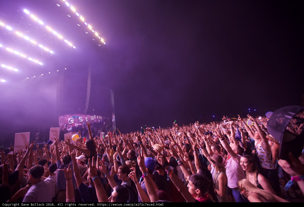 High-energy crowd at Coachella