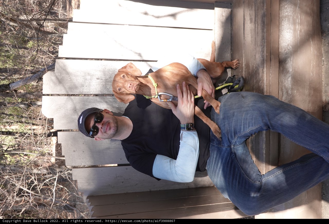 Man and Dog Relaxing on Wooden Bench