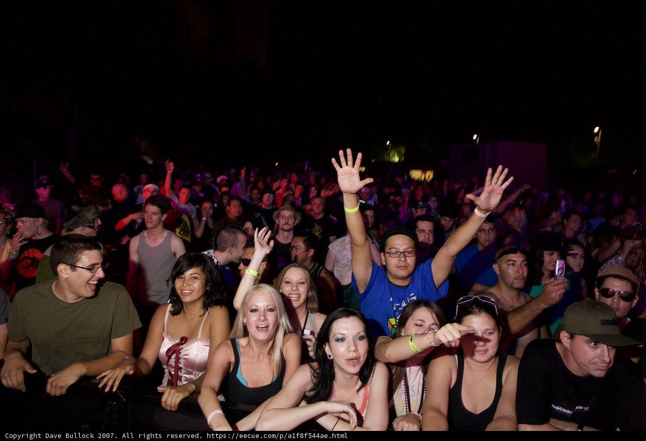 EDC Concertgoers Reach for the Stars