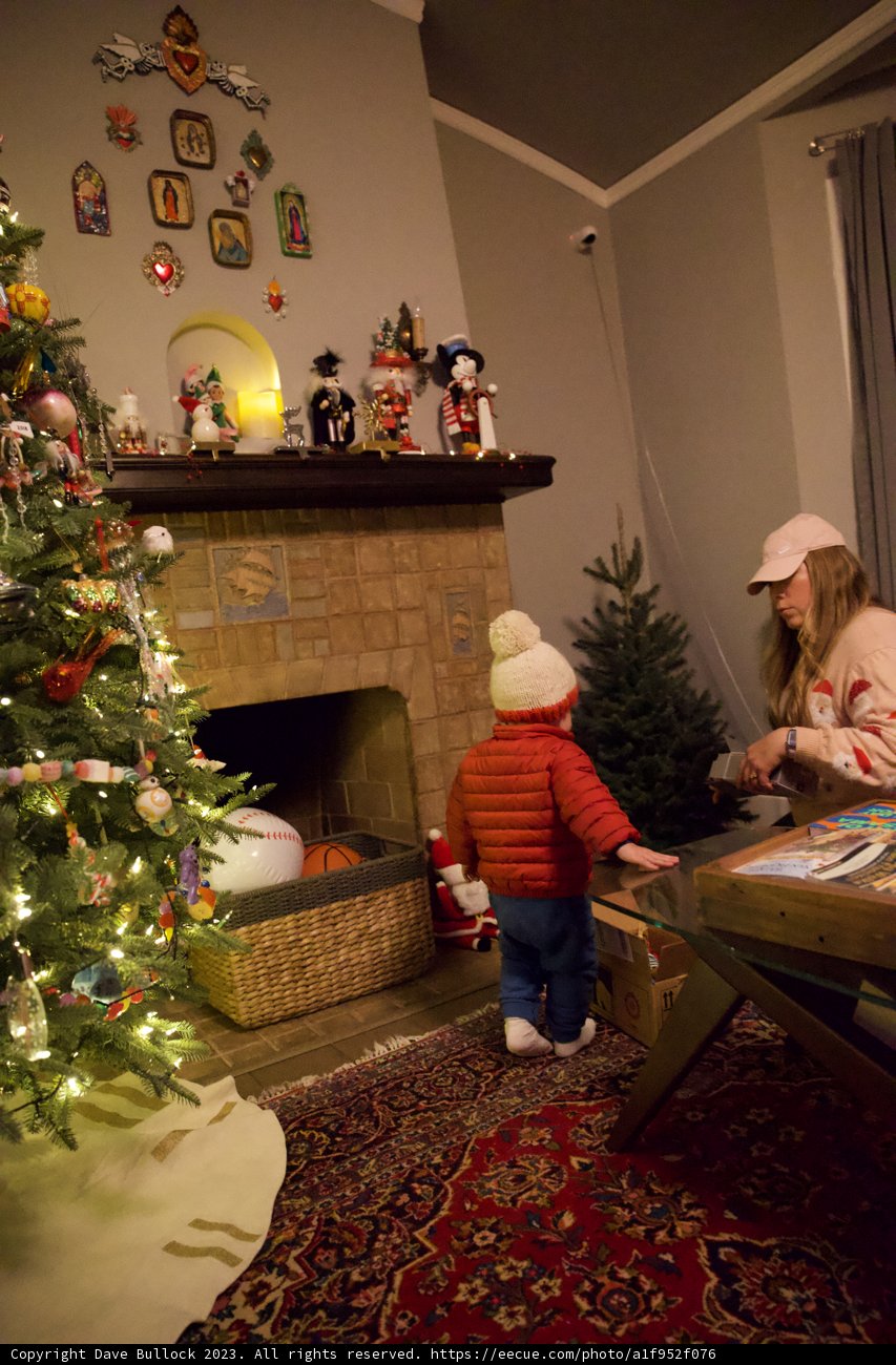 Festive Board Game Fun Under the Christmas Tree