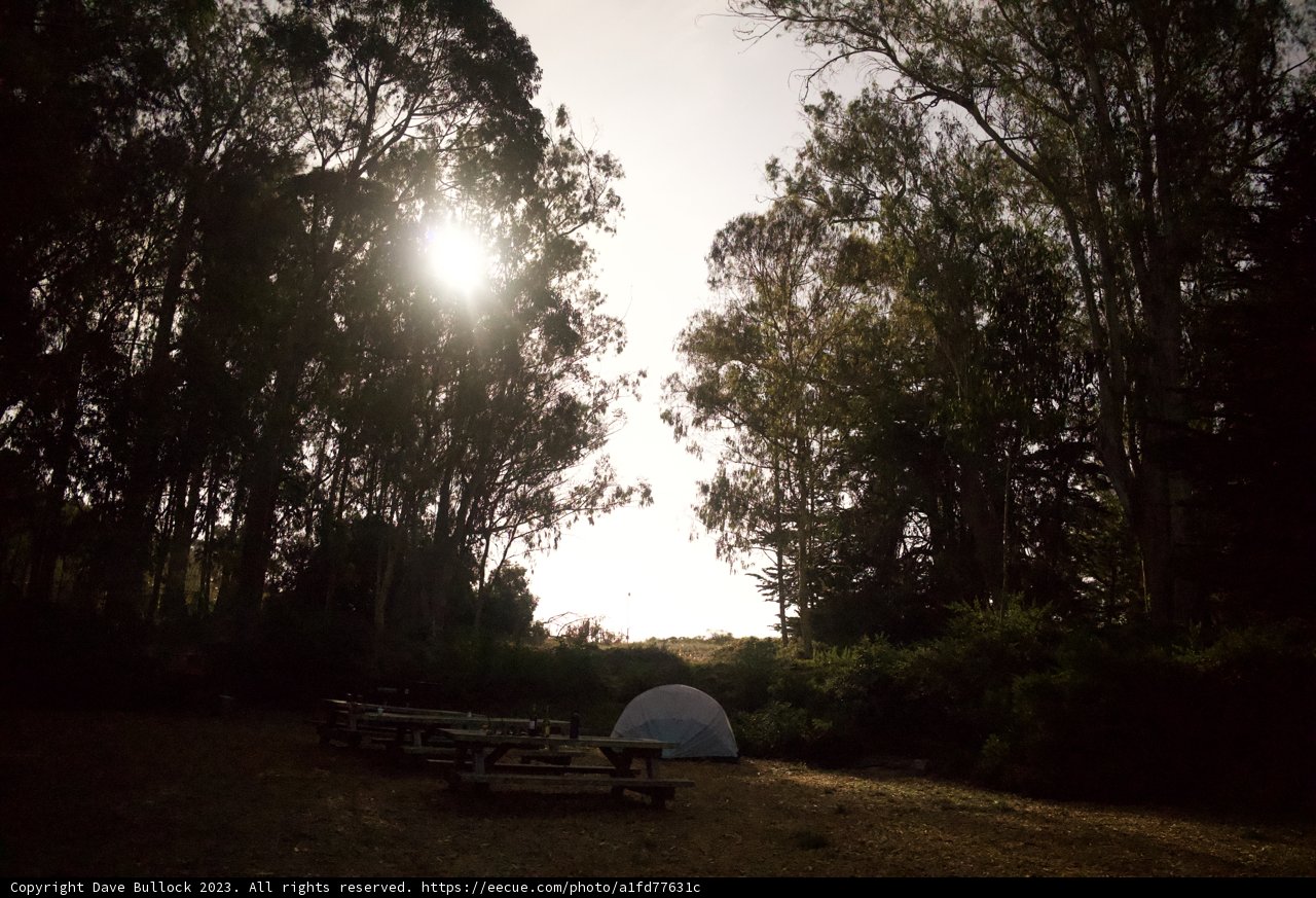 Sunny Retreat in the Presidio Wilderness
