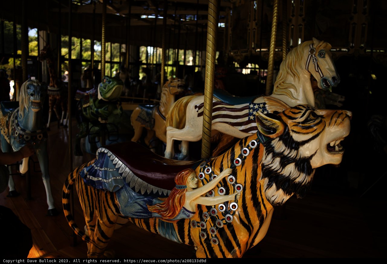 Whimsical Expedition: Carousel at Golden Gate Park