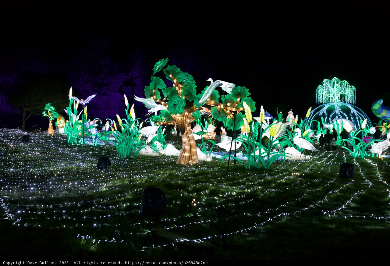 Glowfari Night at Oakland Zoo