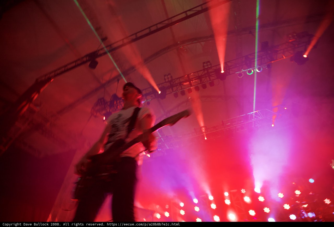 Spotlight on the Guitarist